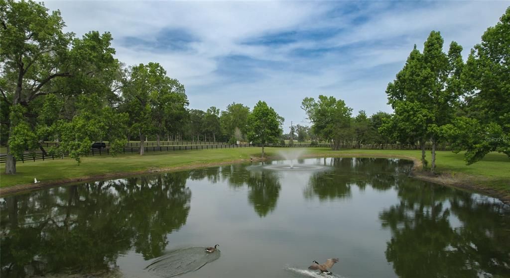 待售: $1,106,700 (10.02 acres)