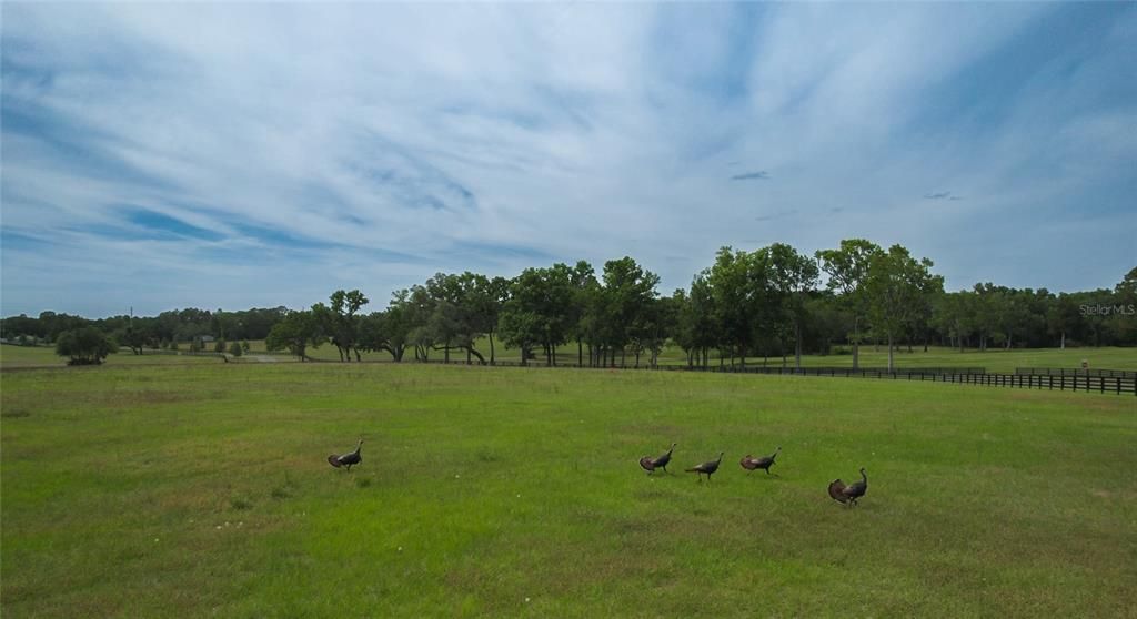 En Venta: $855,950 (10.02 acres)