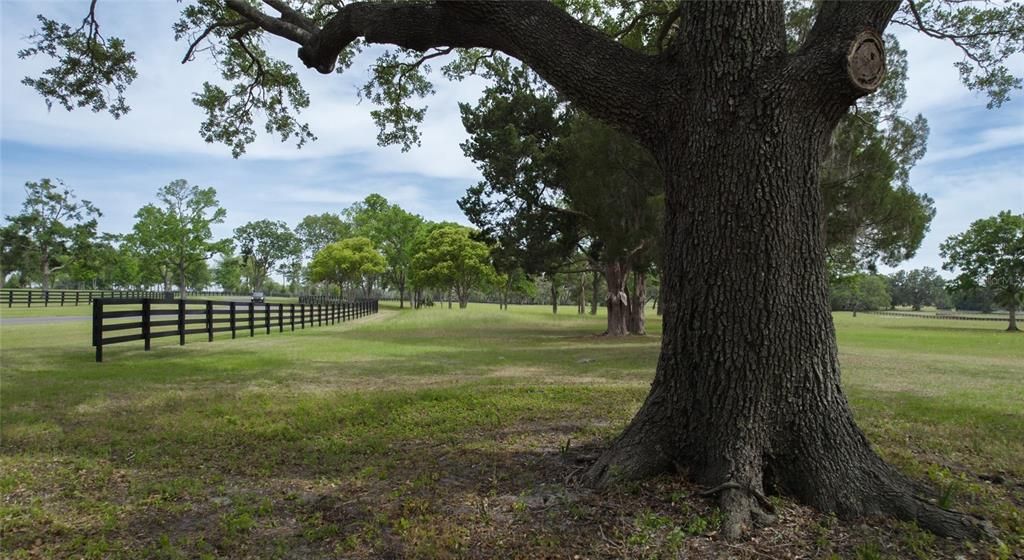 待售: $927,350 (10.91 acres)