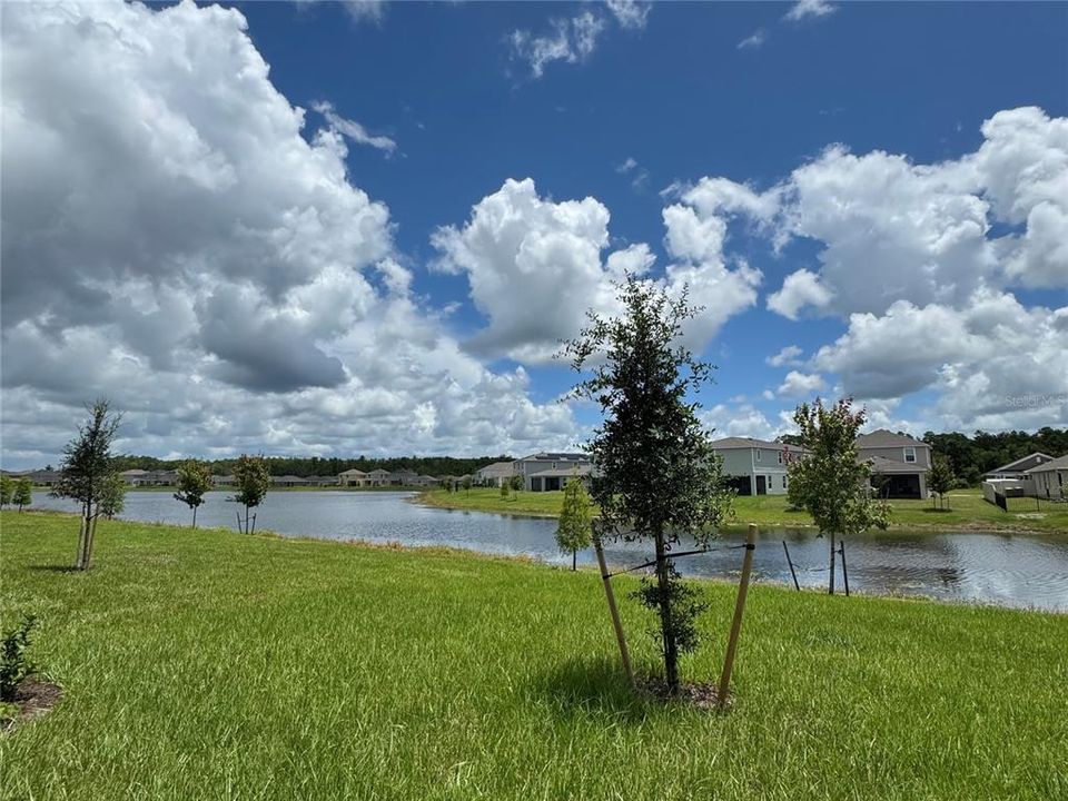 Под контрактом: $446,900 (4 спален, 2 ванн, 2405 Квадратных фут)