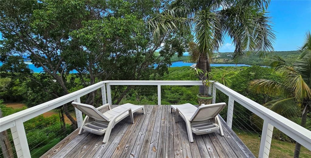 For Sale: $1,499,000 (6 beds, 5 baths, 3000 Square Feet)