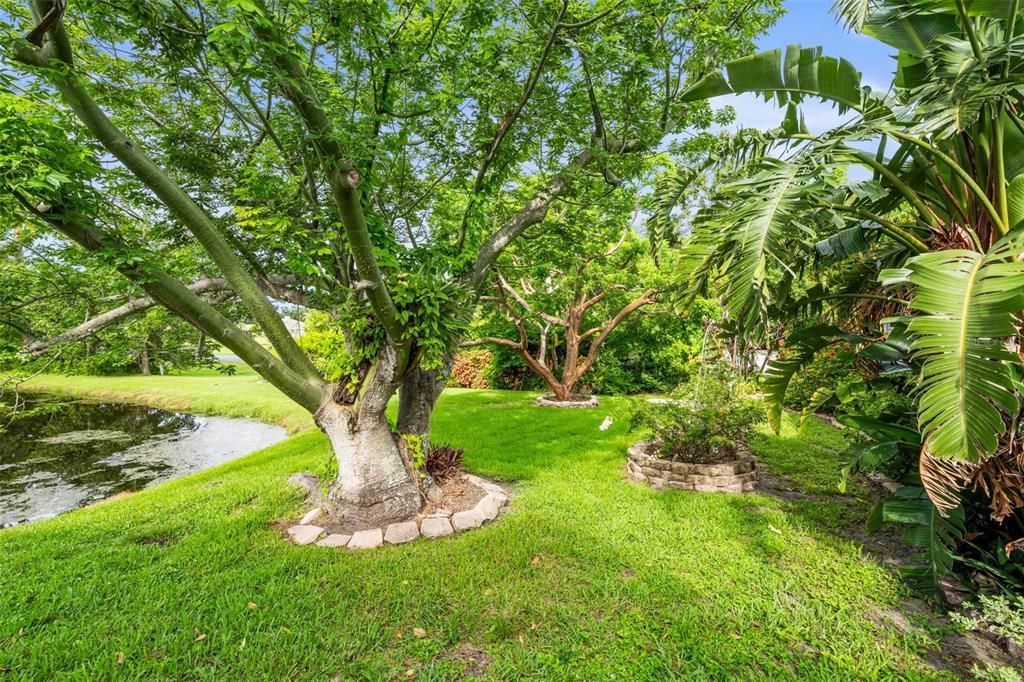 Под контрактом: $475,000 (2 спален, 2 ванн, 2315 Квадратных фут)