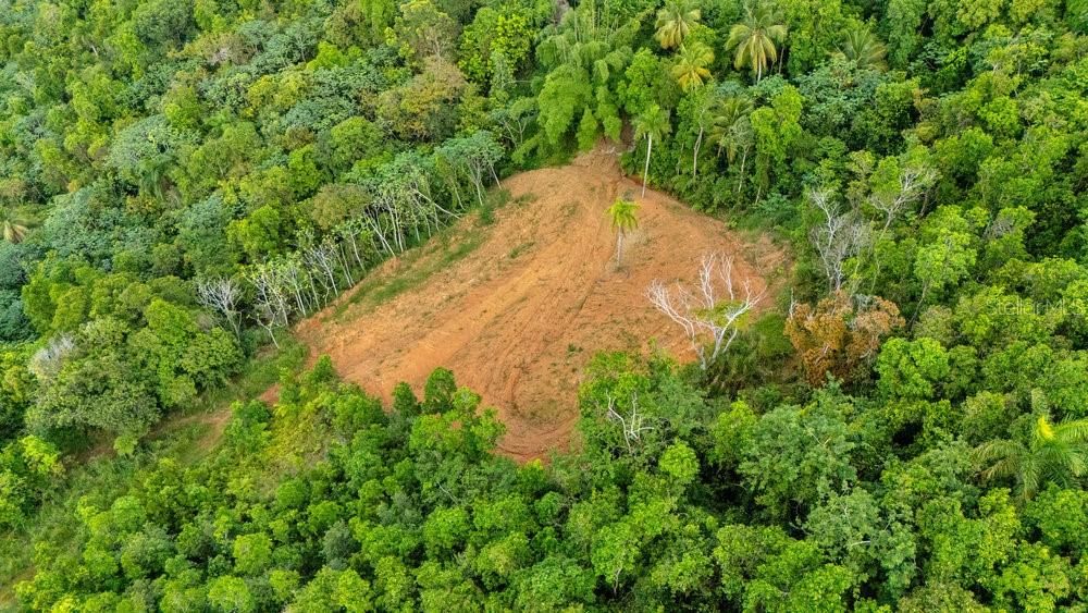 For Sale: $250,000 (0.90 acres)