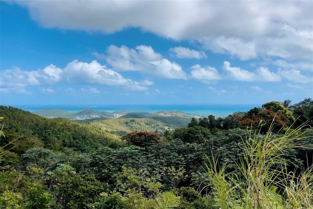 For Sale: $250,000 (0.90 acres)