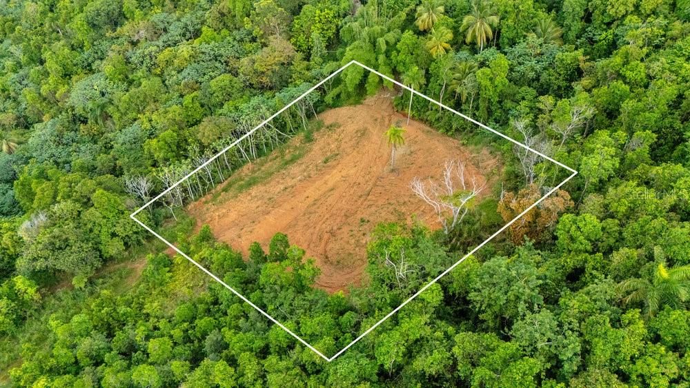 For Sale: $250,000 (0.90 acres)