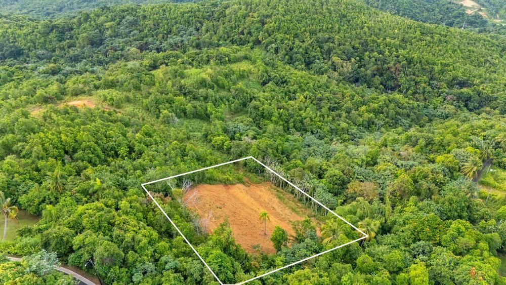 For Sale: $250,000 (0.90 acres)