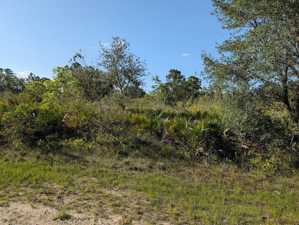 For Sale: $15,000 (0.50 acres)