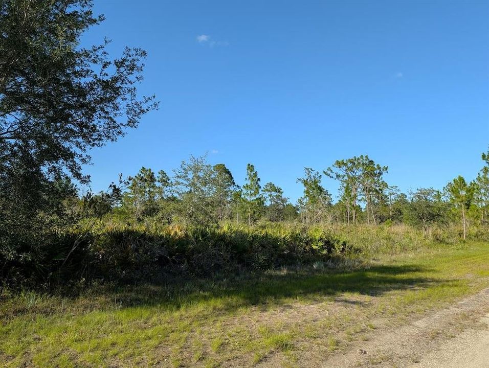 For Sale: $15,000 (0.50 acres)