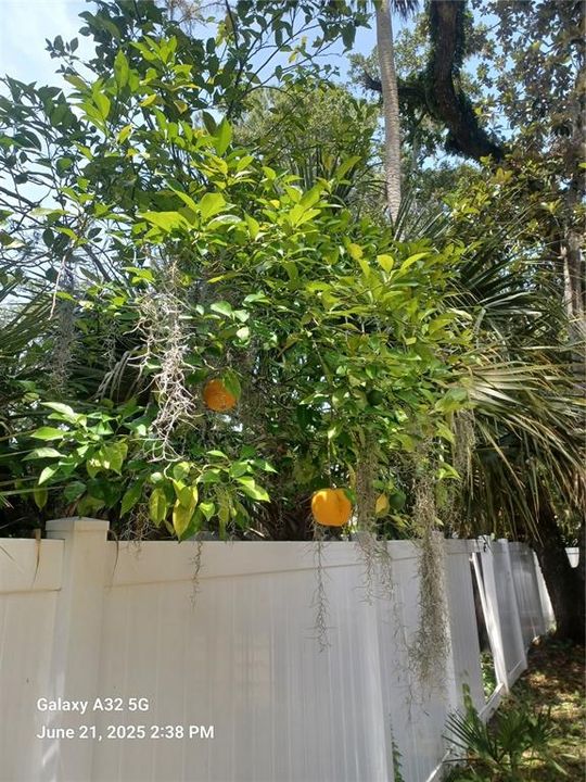 En Venta: $119,000 (2 camas, 2 baños, 1352 Pies cuadrados)