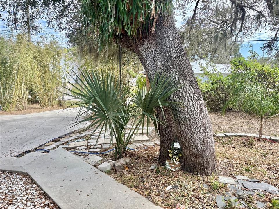 На продажу: $365,000 (2 спален, 2 ванн, 888 Квадратных фут)