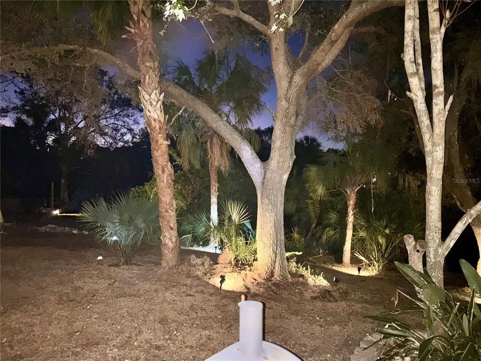 На продажу: $365,000 (2 спален, 2 ванн, 888 Квадратных фут)