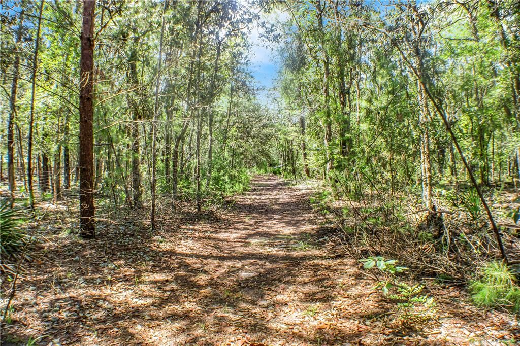 Недавно продано: $20,000 (0.38 acres)