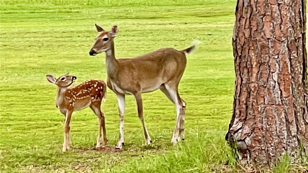 待售: $690,000 (4 贝兹, 3 浴室, 2158 平方英尺)