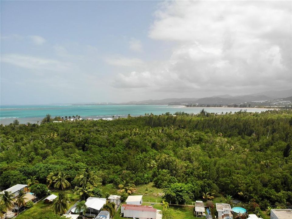 Activo con contrato: $495,000 (1 camas, 1 baños, 400 Pies cuadrados)