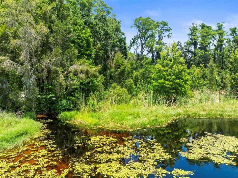 For Sale: $1,200,000 (3 beds, 2 baths, 2320 Square Feet)
