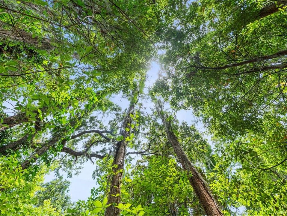 For Sale: $1,200,000 (3 beds, 2 baths, 2320 Square Feet)