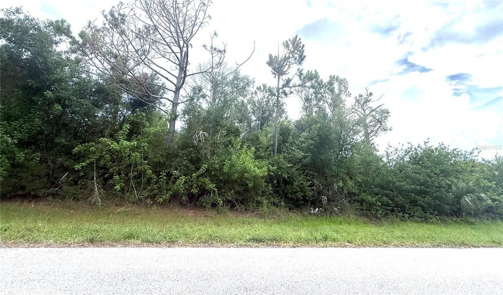 На продажу: $65,000 (0.46 acres)