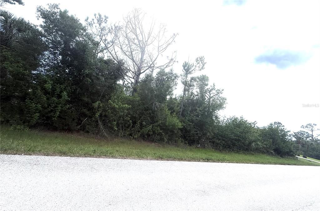 На продажу: $65,000 (0.46 acres)