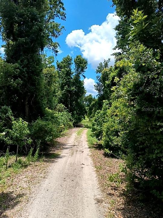 待售: $1,200,000 (32.00 acres)