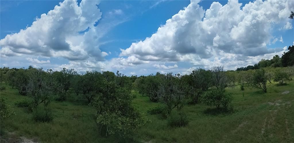 待售: $1,200,000 (32.00 acres)