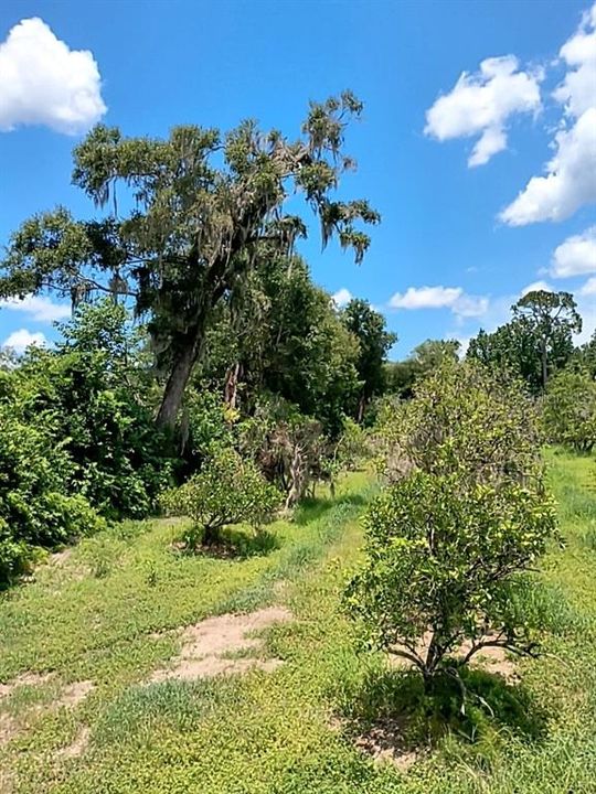 待售: $1,200,000 (32.00 acres)