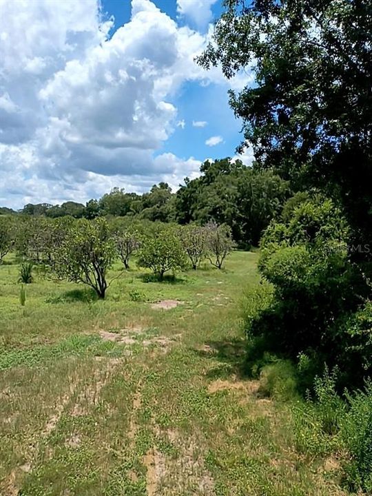 待售: $1,200,000 (32.00 acres)