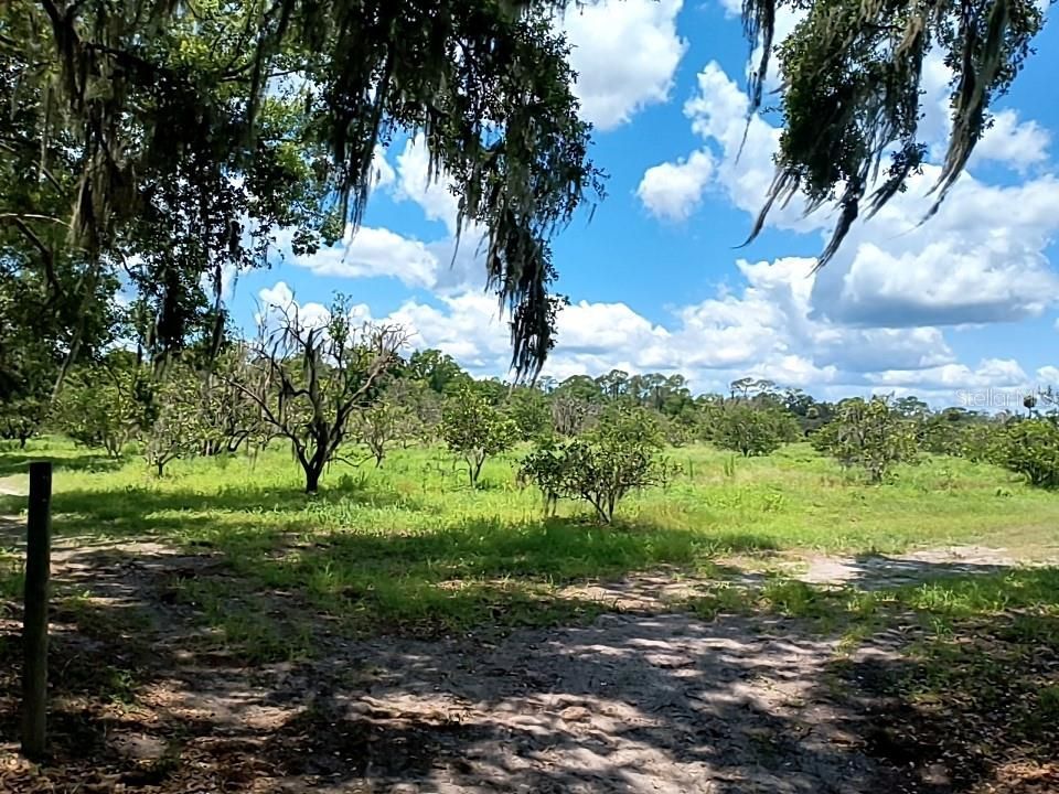 待售: $1,200,000 (32.00 acres)