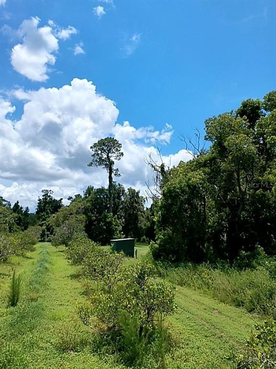 待售: $1,200,000 (32.00 acres)