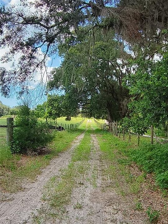 待售: $1,200,000 (32.00 acres)