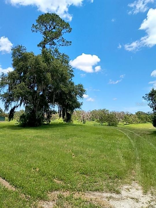 待售: $1,200,000 (32.00 acres)