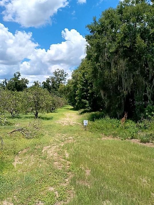 待售: $1,200,000 (32.00 acres)