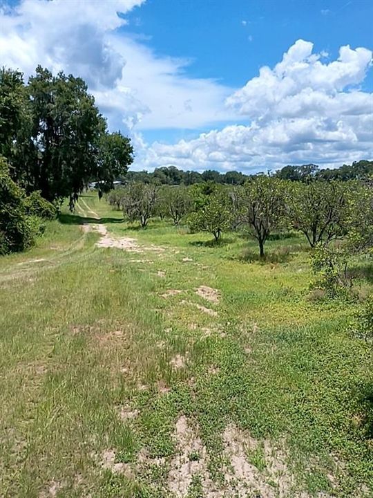 待售: $1,200,000 (32.00 acres)