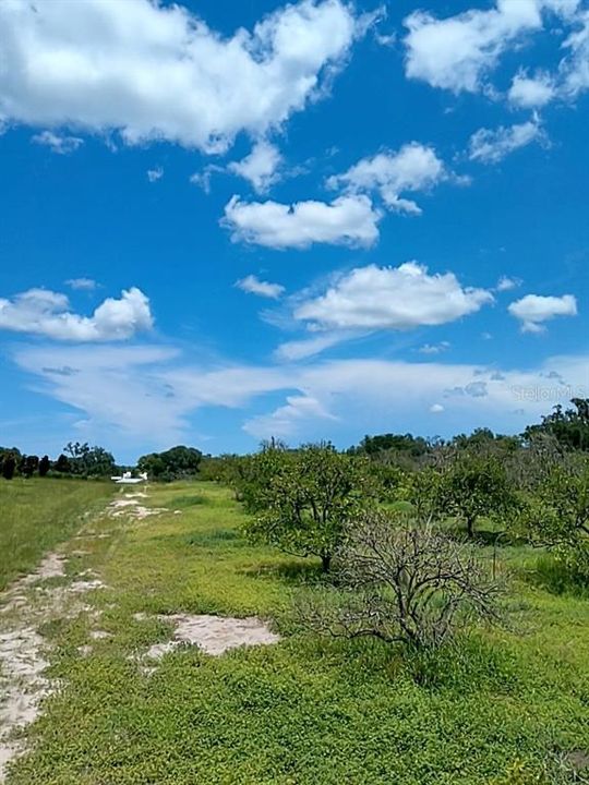 待售: $1,200,000 (32.00 acres)