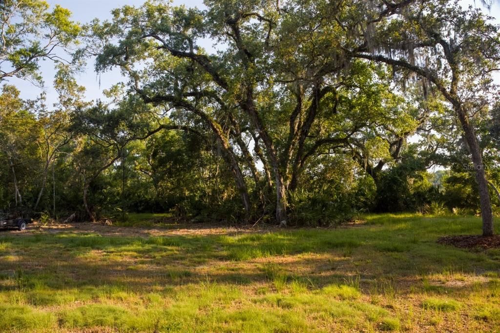 На продажу: $799,000 (5.00 acres)