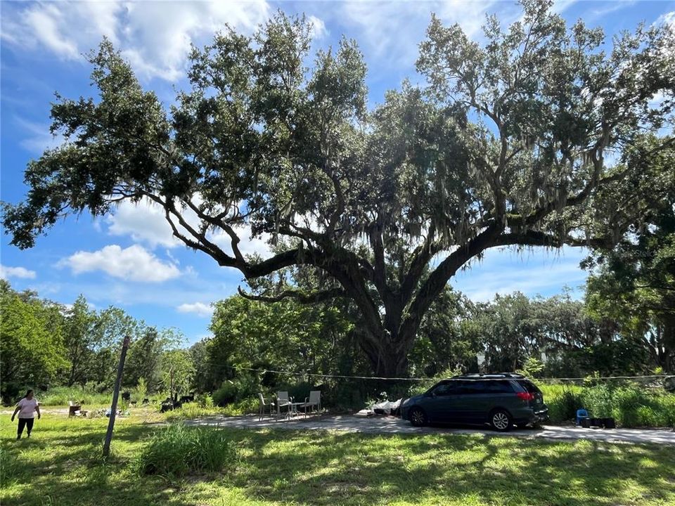 For Sale: $850,000 (2.77 acres)