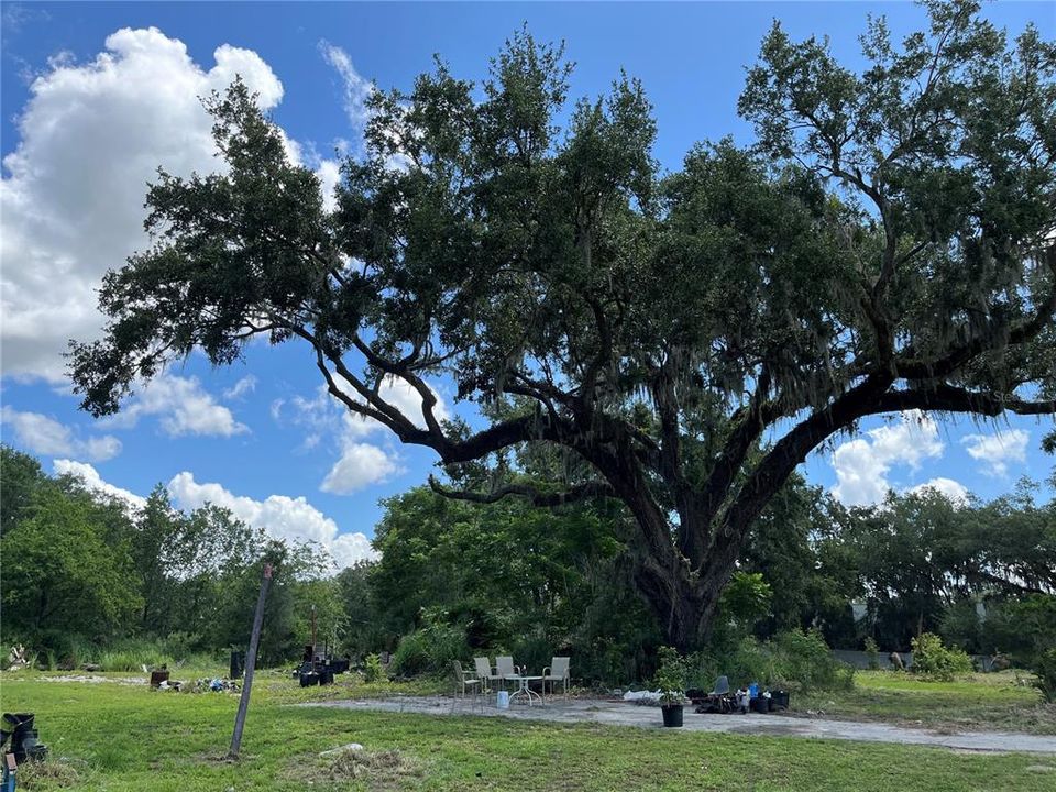 For Sale: $850,000 (2.77 acres)