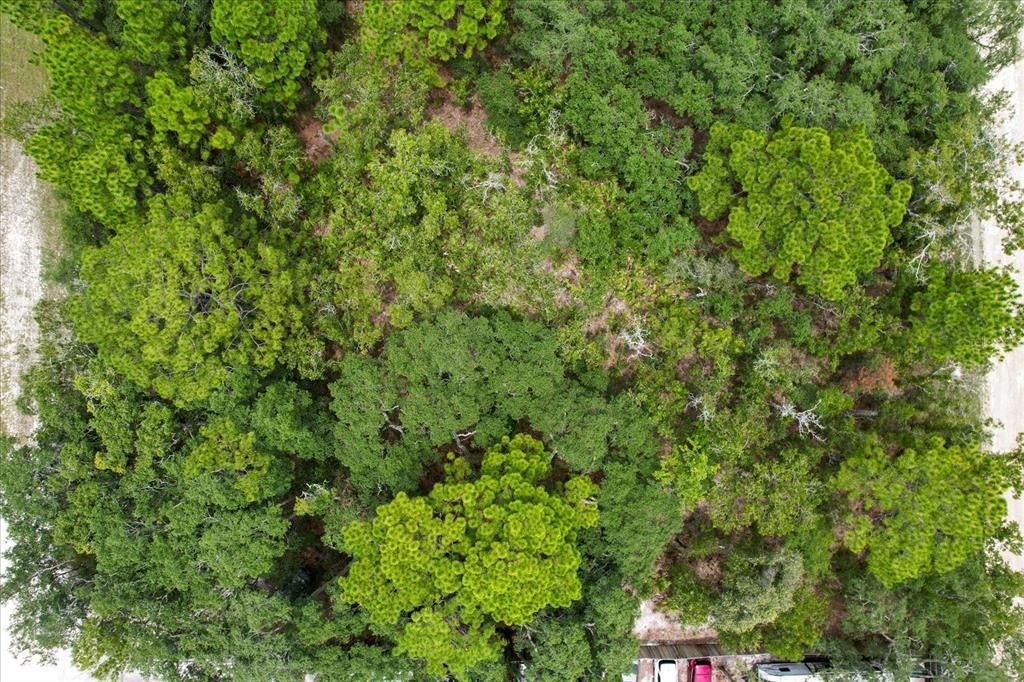 For Sale: $110,000 (0.38 acres)