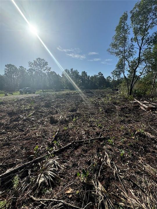 待售: $110,000 (4.40 acres)