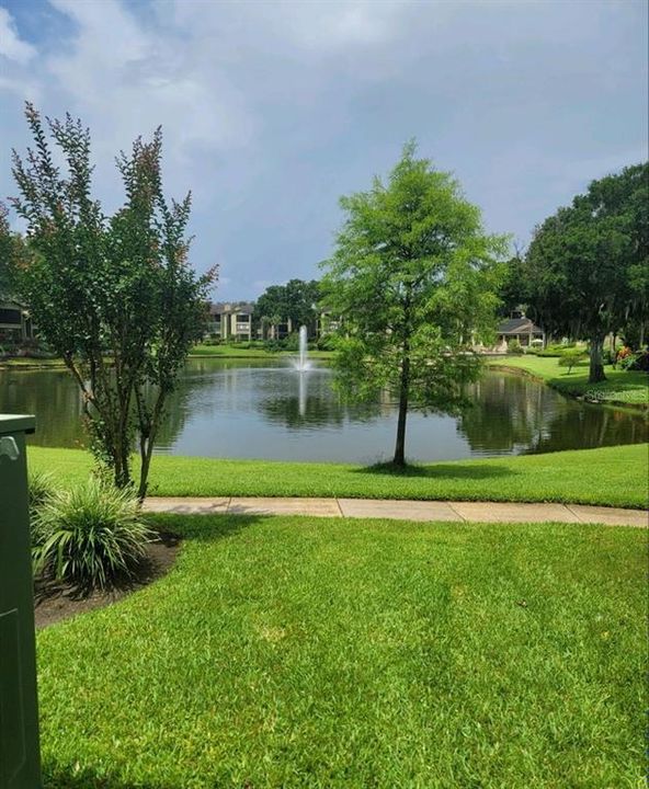 На продажу: $289,000 (1.91 acres)