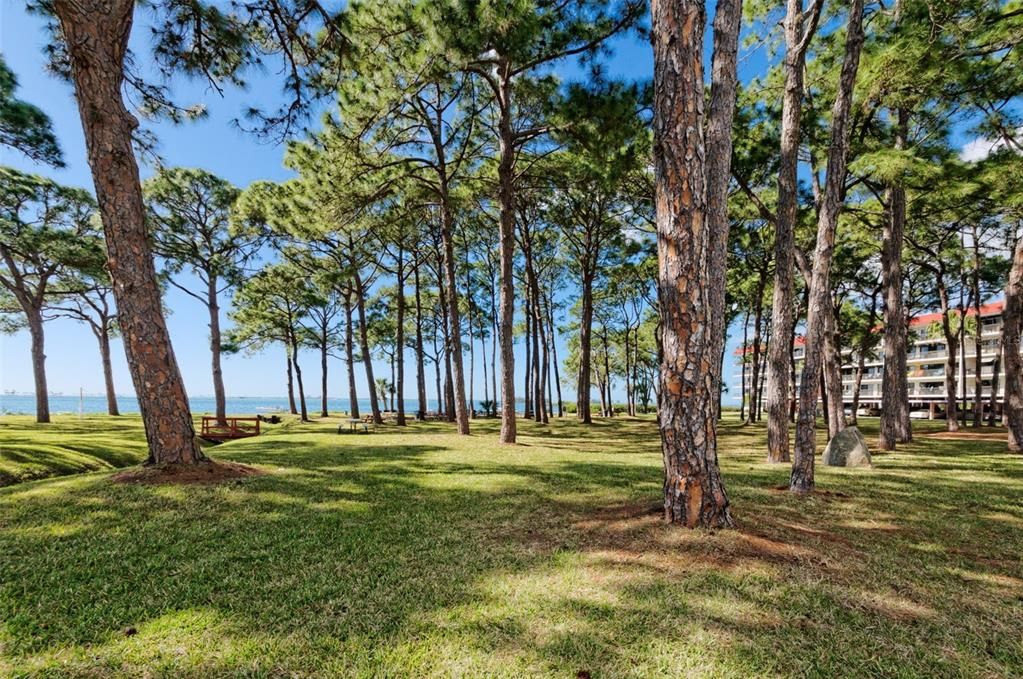 Active With Contract: $128,000 (2 beds, 1 baths, 930 Square Feet)