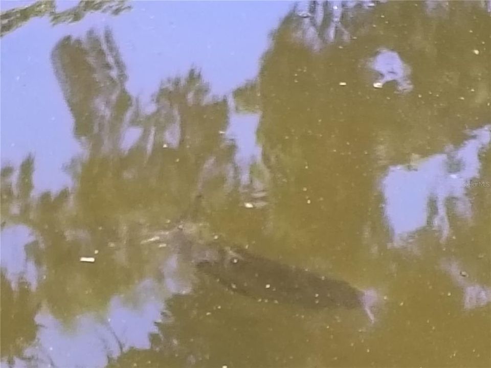 На продажу: $143,000 (2 спален, 2 ванн, 1040 Квадратных фут)