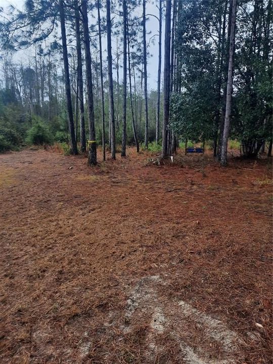 En Venta: $275,000 (10.08 acres)