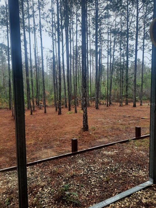 En Venta: $275,000 (10.08 acres)