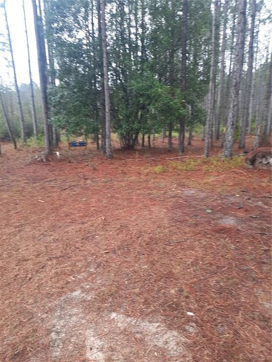 En Venta: $275,000 (10.08 acres)