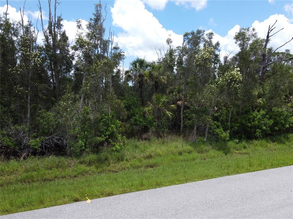 For Sale: $60,000 (0.69 acres)