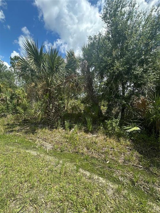 Vendido Recientemente: $9,000 (0.23 acres)