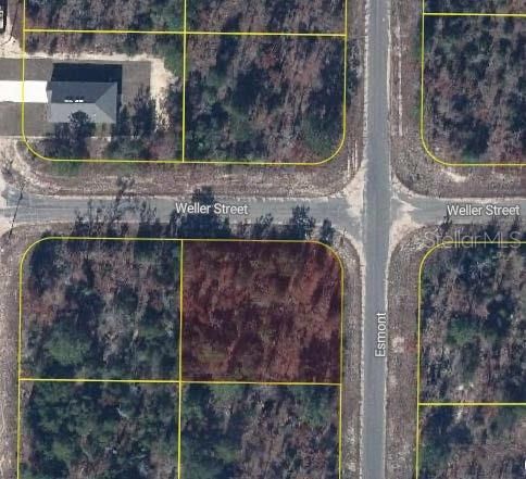 For Sale: $22,000 (0.31 acres)