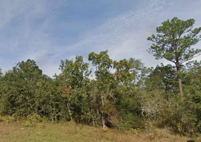 For Sale: $17,000 (0.50 acres)