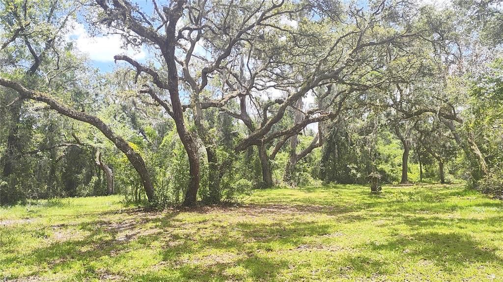 Active With Contract: $265,000 (3 beds, 2 baths, 2014 Square Feet)