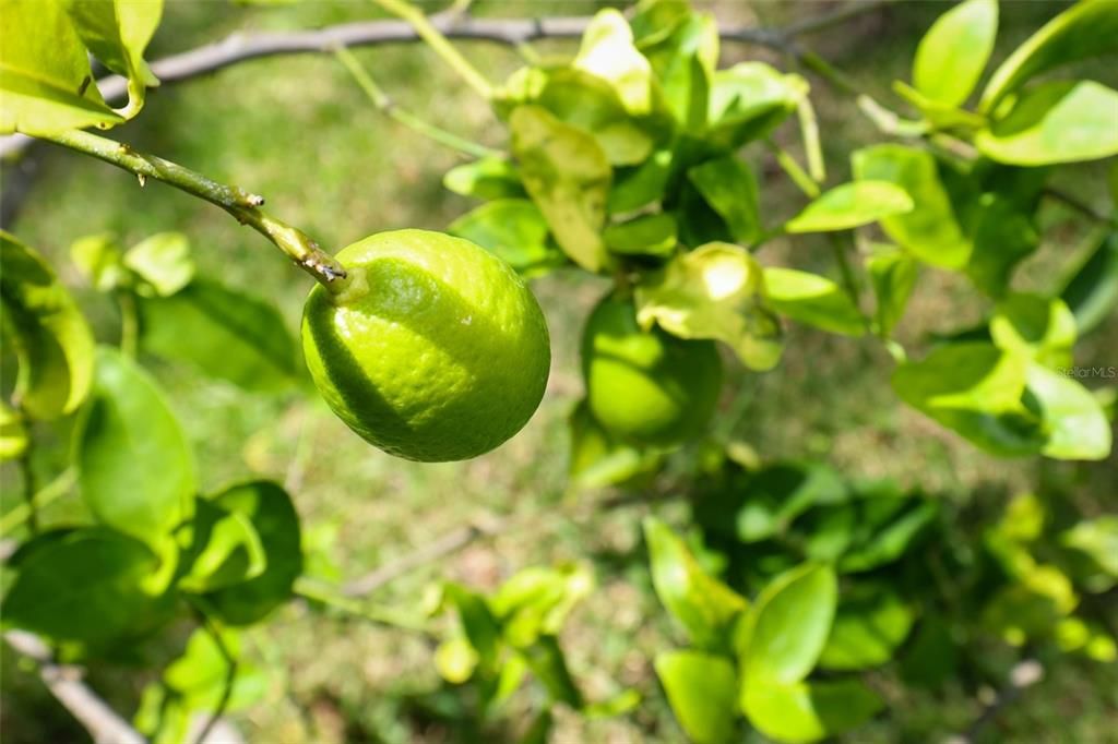 合同活跃: $379,900 (3 贝兹, 2 浴室, 1844 平方英尺)